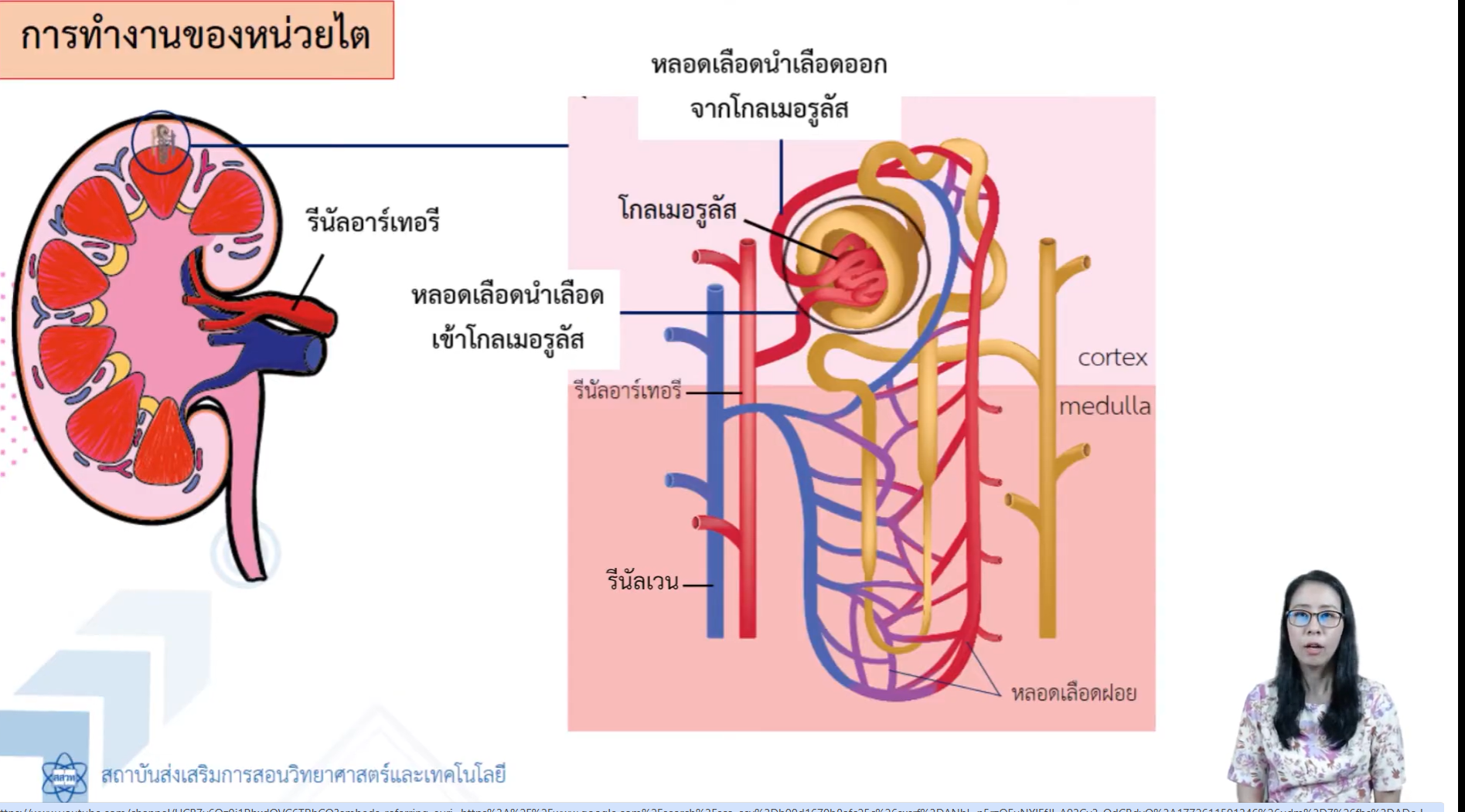 ภาพประกอบ 3