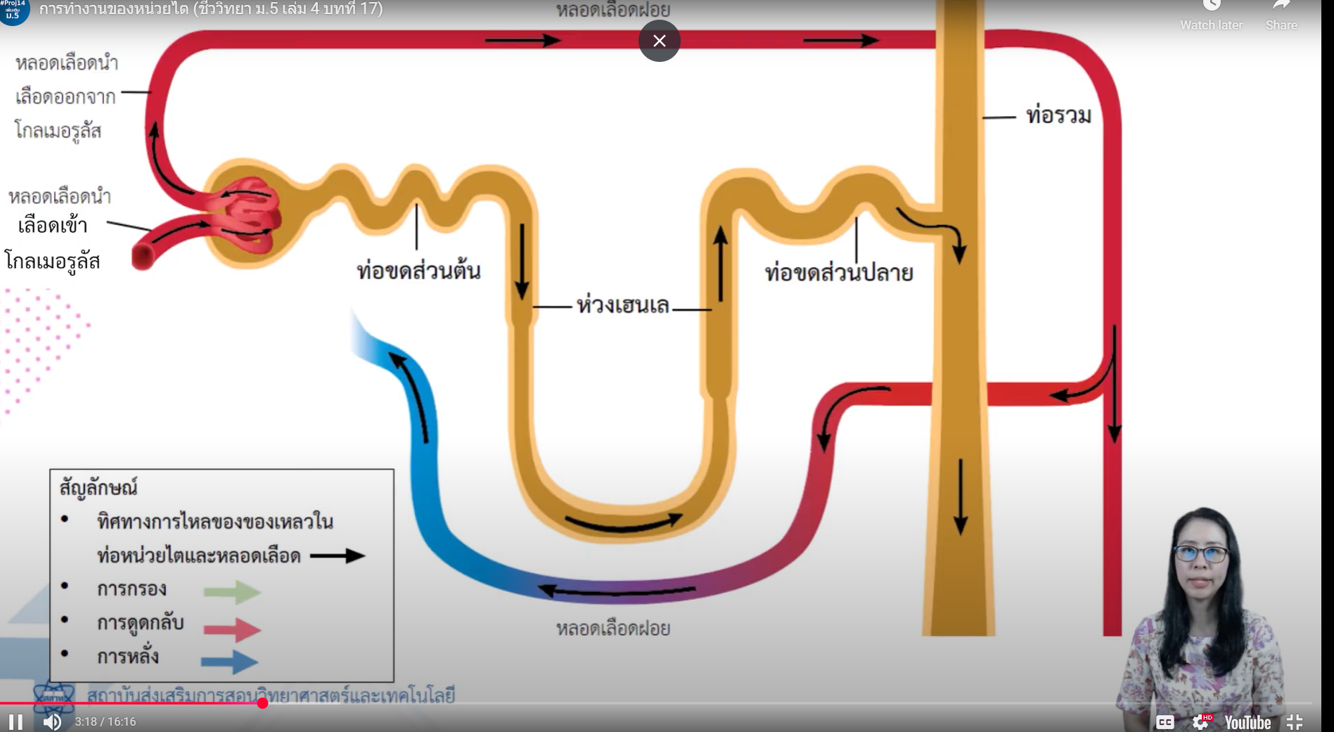 ภาพประกอบ 4