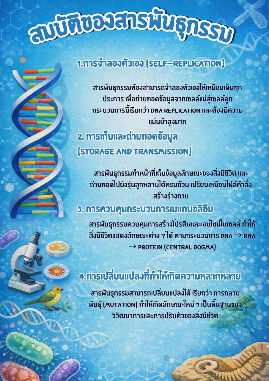 ภาพประกอบ 3