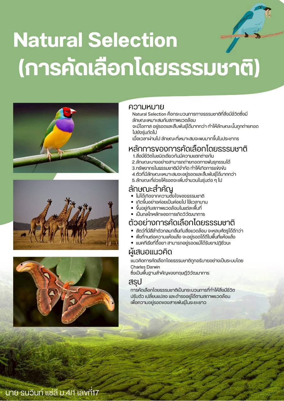 ภาพประกอบ 4