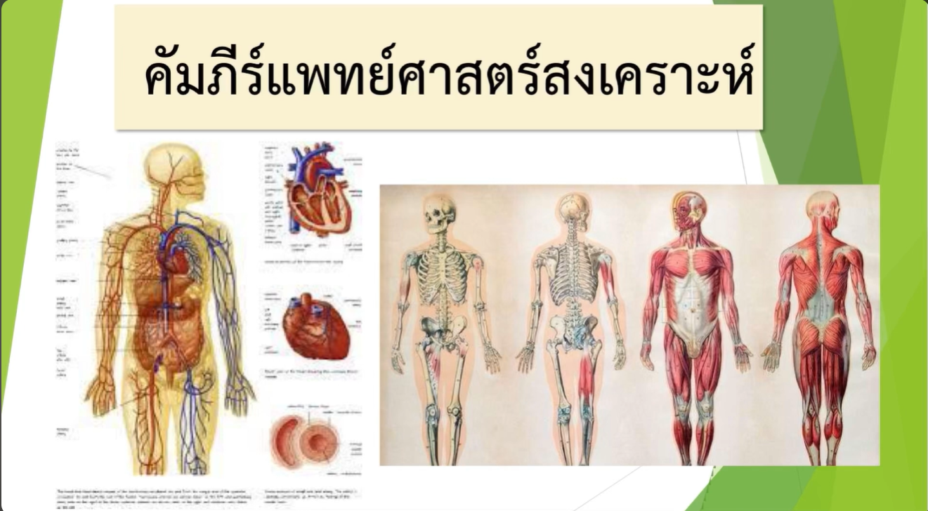 ภาพประกอบ 2